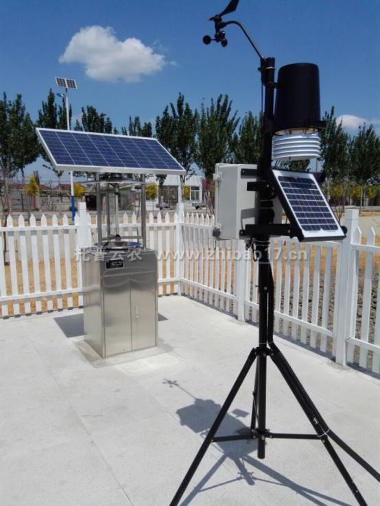 遠程拍照式蟲情測報燈 遠程拍照式蟲情測報燈